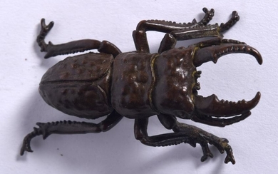 A JAPANESE BRONZE OKIMONO IN THE FORM OF A STAG BEETLE