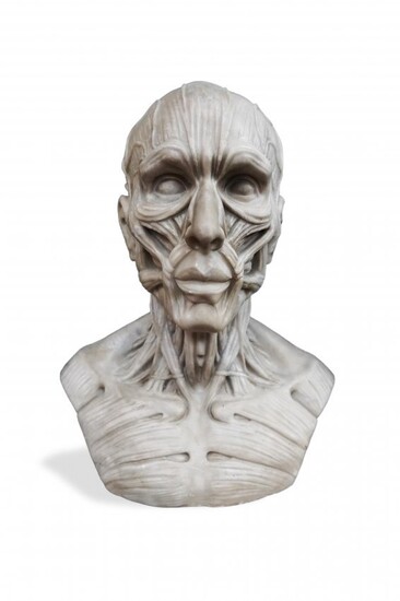 ANATOMY IN MARBLE h. 63cm