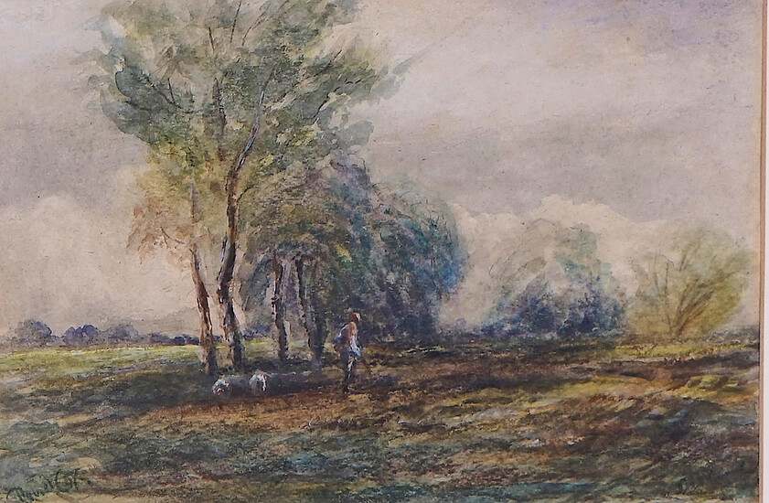 ATTRIBUTED TO DAVID COX