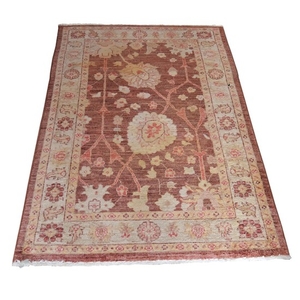 Hand-Knotted Pakistani Persian Style Wool Area Rug from The Rug Gallery