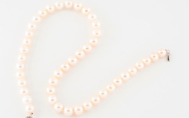 Necklace of white cultured pearls slightly falling.