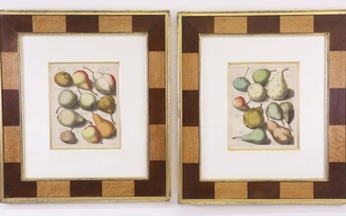 Pair of Pomolgia Appels en Peeren Dutch Hand Colored Apple and by Johann Hermann 18th C