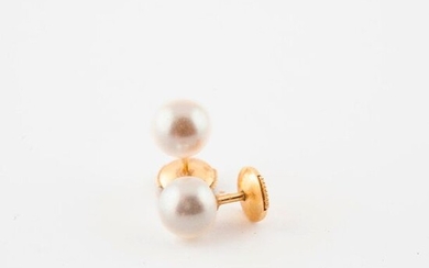 Pair of yellow gold (750) ear studs with white cultured pearls.