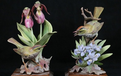 Royal Worcester Pair Oven Bird Figures