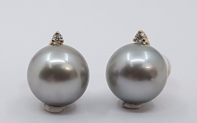 10mm Round Tahitian Pearls - 0.04Ct - Earrings Yellow gold