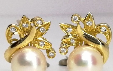 18 kt. Gold - Earrings Mixed - Diamonds