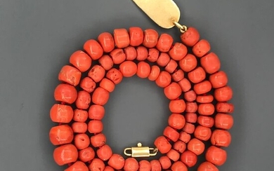 18 kt. Yellow gold - Necklace Red coral of the Mediterranean