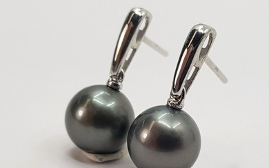 9x10mm Tahitian Pearls - 14 kt. White gold - Earrings