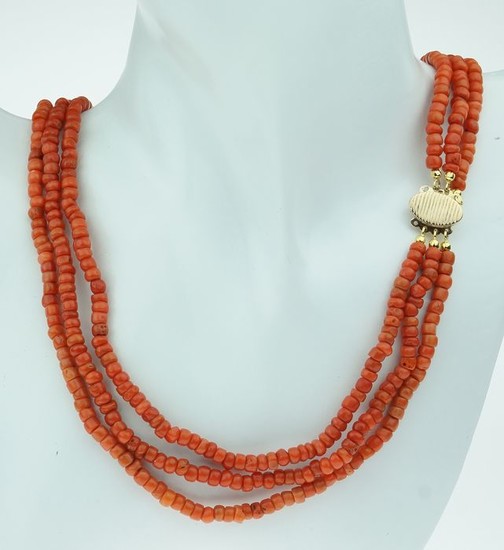 Antiek - 18 kt. Yellow gold - Necklace Blood coral