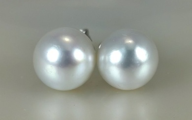 Big pearls pair Ø 9,5x10 MM - 18 kt. Akoya pearls, White gold - Earrings Akoya Pearl