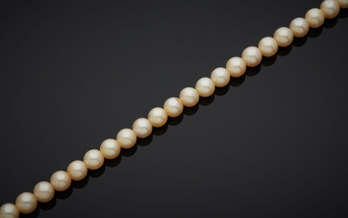 Collier de perles de culture, sans fermoir. A renfiler. D. des perles 7 mm L....