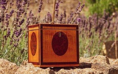 Georgian Satinwood Tea Caddy c.1800 - Tea caddy/ box - Burr walnut, Wood (Satinwood)