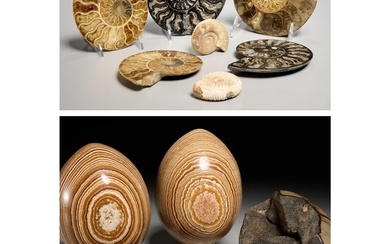 Group stone, mineral, & ammonite fossil specimens