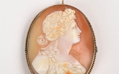 Large 14K Gold and Shell Cameo Pendant/Pin