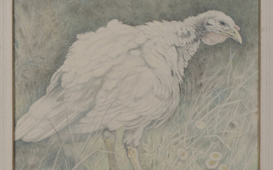 Lilian Andrews - 'The Turkey Hen', watercolour and pastel on vellum paper laid on board, s