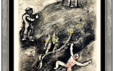 Marc Chagall Hand Colored Etching L Enfant Fables Fontaine Modernism Framed Art