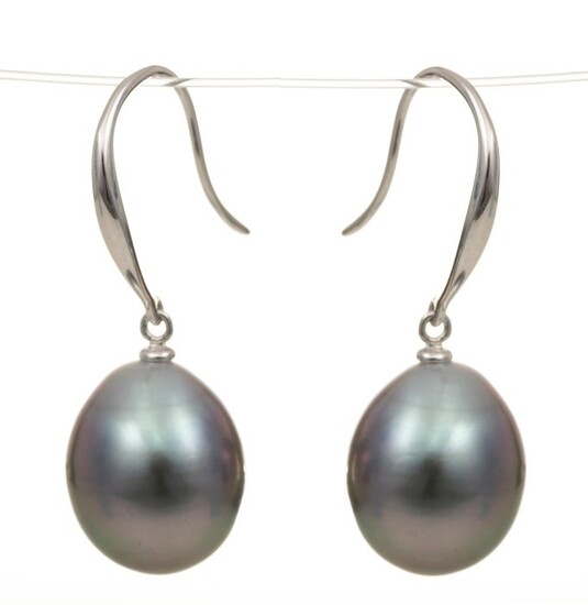 NO RESERVE PRICE - 10x11 mm Peacock Tahitian Pearl Drops - 14 kt. White gold - Earrings
