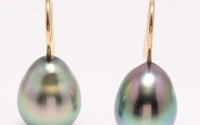 NO RESERVE PRICE - 18 kt. Yellow Gold - 10x11mm Peacock Tahitian Pearl Drops - Earrings