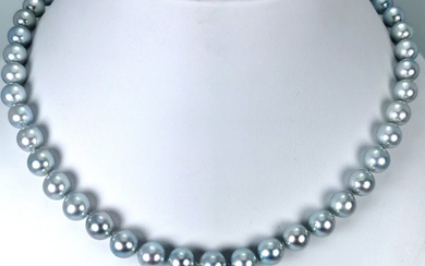 Natural grey blue color japanese Akoya choker - Necklace Silver Pearl