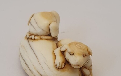 Netsuke - Ivory - Dog with pup - Japan - Edo Period (1600-1868)