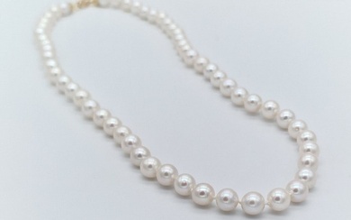 No Reserve Price - Necklace - 18 kt. Yellow gold Pearl