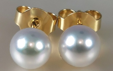 No Reserve Price - Ø 5,5X6 mm - 18 kt. Akoya pearls, Yellow gold - Earrings
