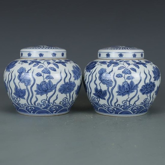 Pair of Chinese Blue And White Porcelain Jars