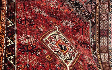 Prachtvoller Gaschgai (Neu) - Carpet - 260 cm - 180 cm
