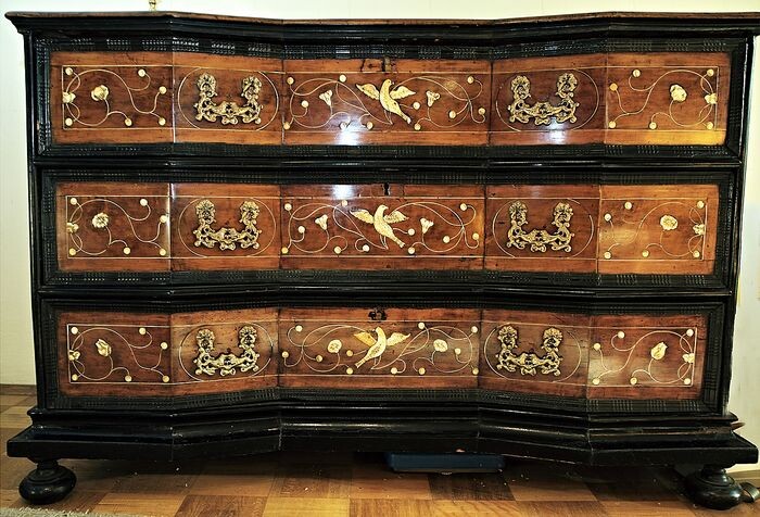 Rare Lombardy cassettone - Baroque - Wood - 18th century