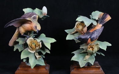 Royal Worcester Pair Baltimore Oriole Figures