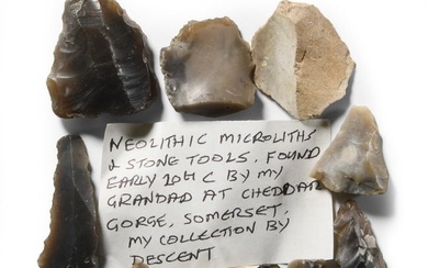 Stone Age Flint Microlith Group