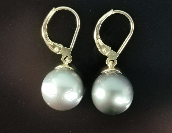 Tahitian pearl earrings, Tahiti cultured pearls, fine luster, on hinged earwires, 585/14K yellow go