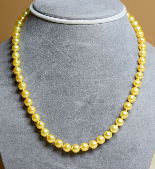 Très rare, ce collier collier couleur GOLD AKOYA diamètre 7-7,5...