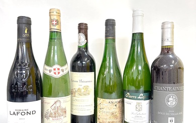BLANC & ROUGE Lot de 6 bouteilles diverses : ANJOU Sec Château de Fesles Cuvée...