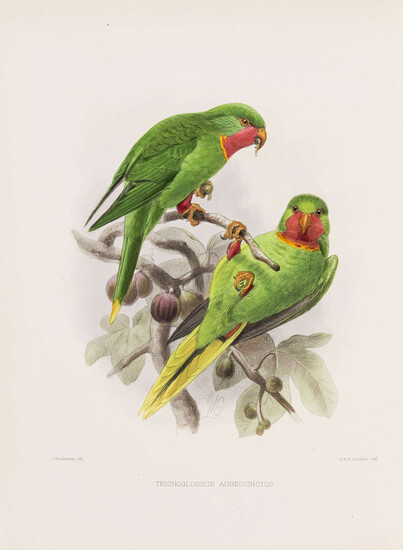 Birds.- Rowley (George Dawson, editor) Ornithological Miscellany, 3 vol., first edition, [1875-]1876-78..