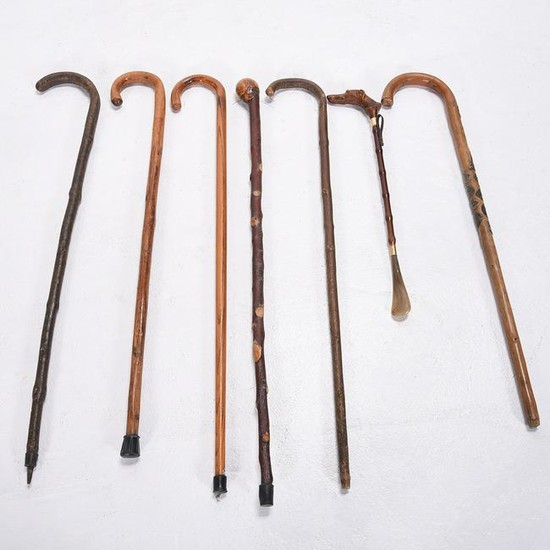 Six Wood Walking Canes and a Carved Figural Shoe Horn.