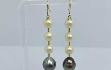 18 kt. Gold - Earrings South Sea Pearl