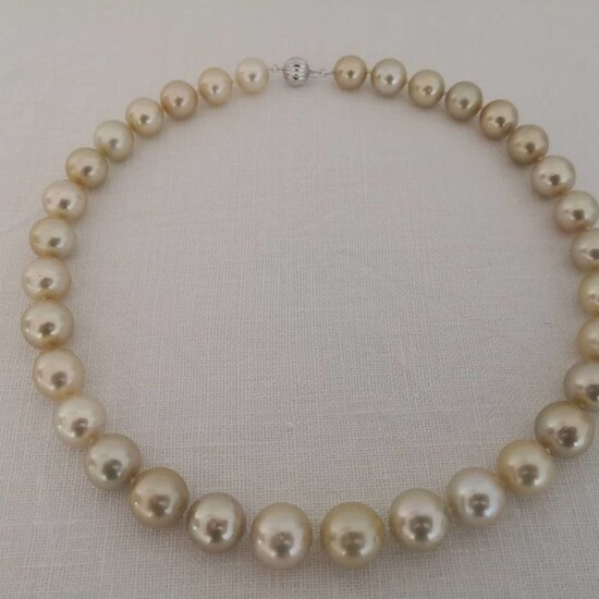 18 kt. South sea pearls, 12-14 mm Large Size - Necklace