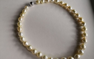 10-12 mm, Brown south sea pearls - Necklace