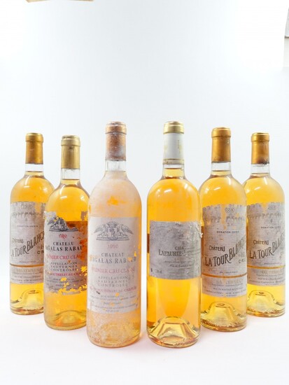 6 bouteilles 3 bts : CHÂTEAU LA TOUR BLANCHE 2005 1er cru Sauternes (base goulot. Étiquettes très léger déchirées) 1 bt : CHÂTEAU...