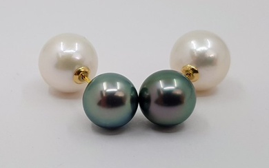 8.5x11.5mm Edison and Tahitian Pearls - Earrings Yellow gold