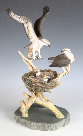 A Border Fine Arts painted cast composite model group of osprey perched on their eyrie, titled '