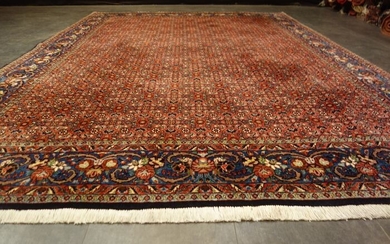 Bidjar iran Tekab - Carpet - 295 cm - 205 cm