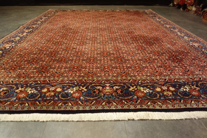 Bidjar iran Tekab - Carpet - 295 cm - 205 cm