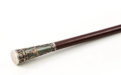 Cane with an Elegant tip