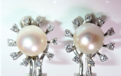 Earrings - 14 kt. White gold Diamond (Natural) - Pearl