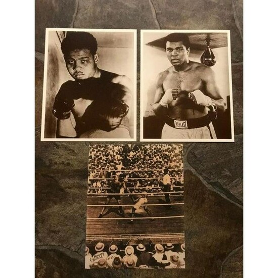 Group of Vintage Boxing Sepia Tone Photos