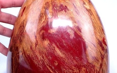 Large Extraordinary Quartz Hand polished egg of petrified wood - 275×190×190 mm - 13354 g