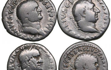 Lot of Roman Empire AR Denarius (AD 68-80) (4)