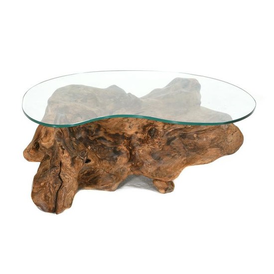 Modern Coffee Table with Kidney Shaped Glass and